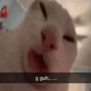 Meet your Posher, Starr